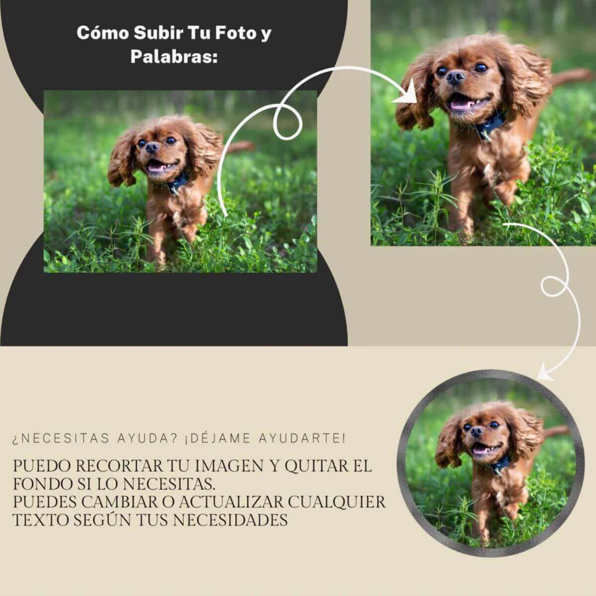 Imagen con instrucciones paso a paso sobre cómo subir la foto de tu mascota para personalizar la huella de piedra.