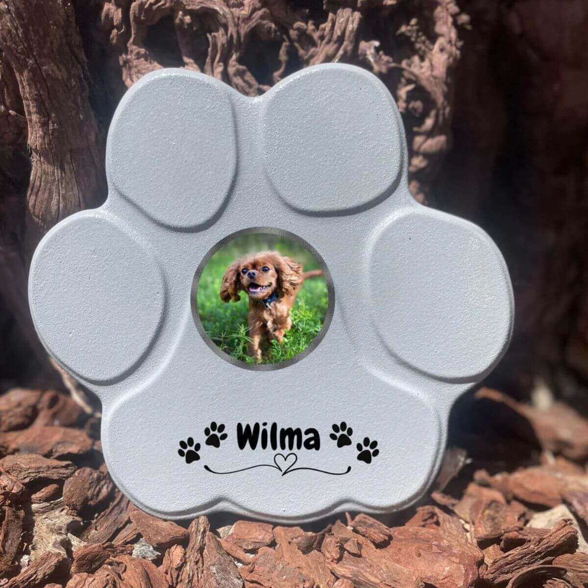 Lápida gris mediana sin soporte con foto y nombre – piedra con corazon y patitas 