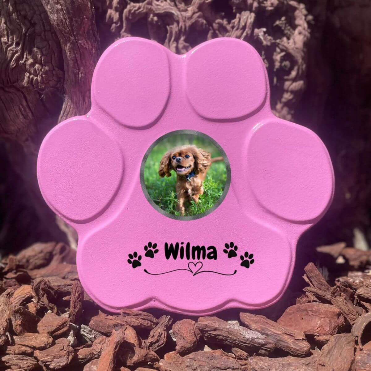 Huella rosa mediana sin soporte, con foto, corazon y nombre 