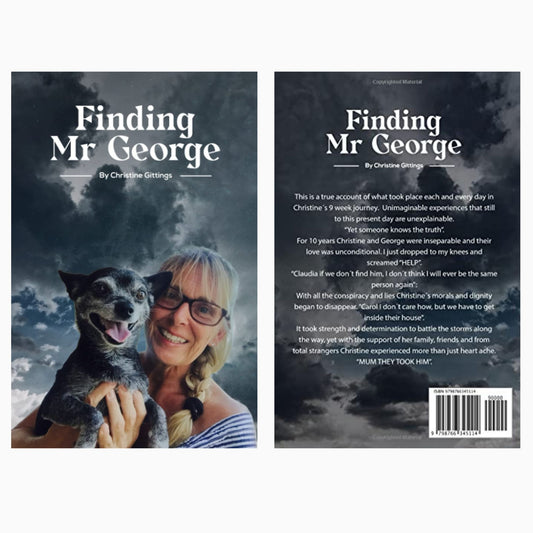 Finding Mr George