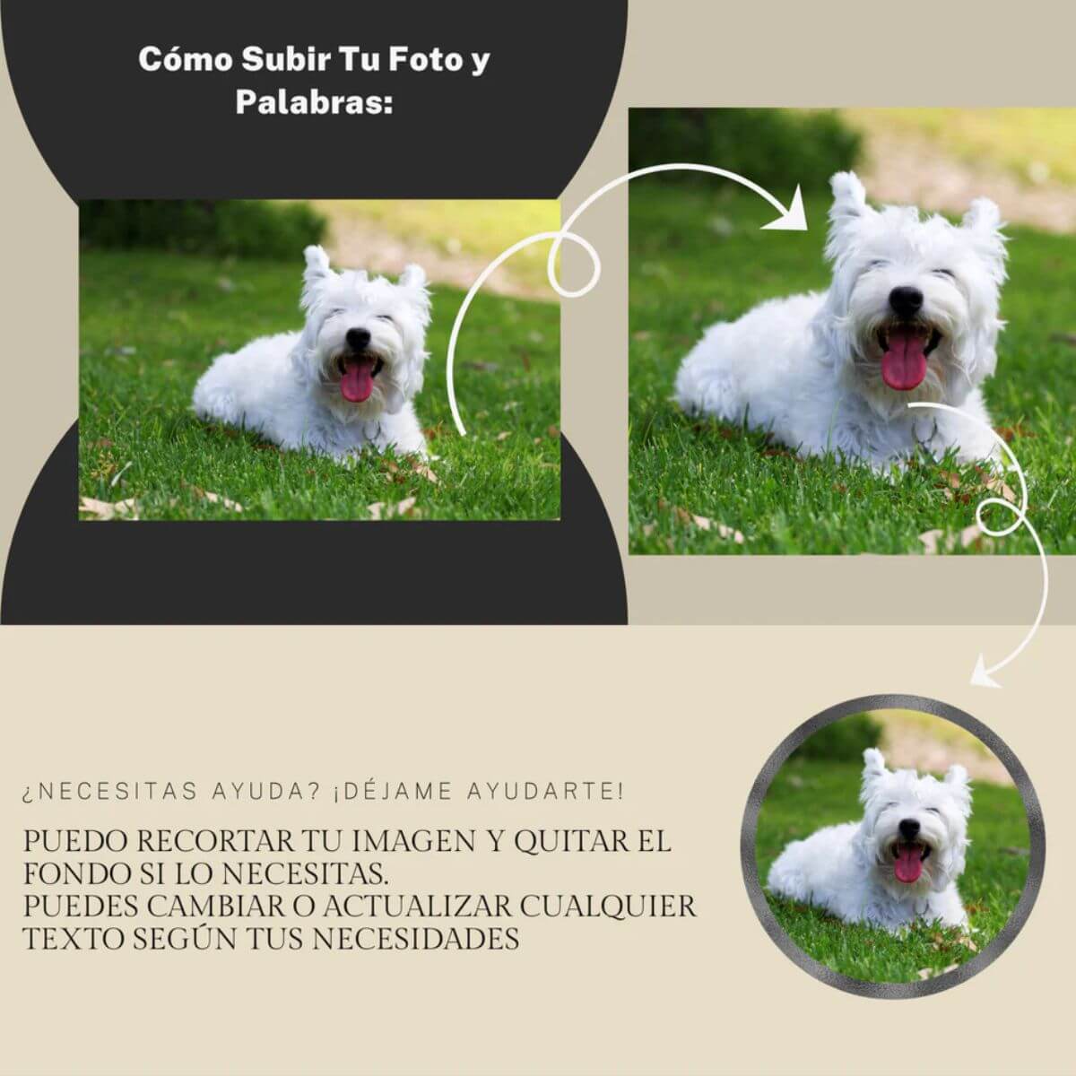 Guía visual paso a paso para subir la foto de tu mascota y personalizar una huella conmemorativa. Instrucciones claras para crear una lápida personalizada para perro o gato.


