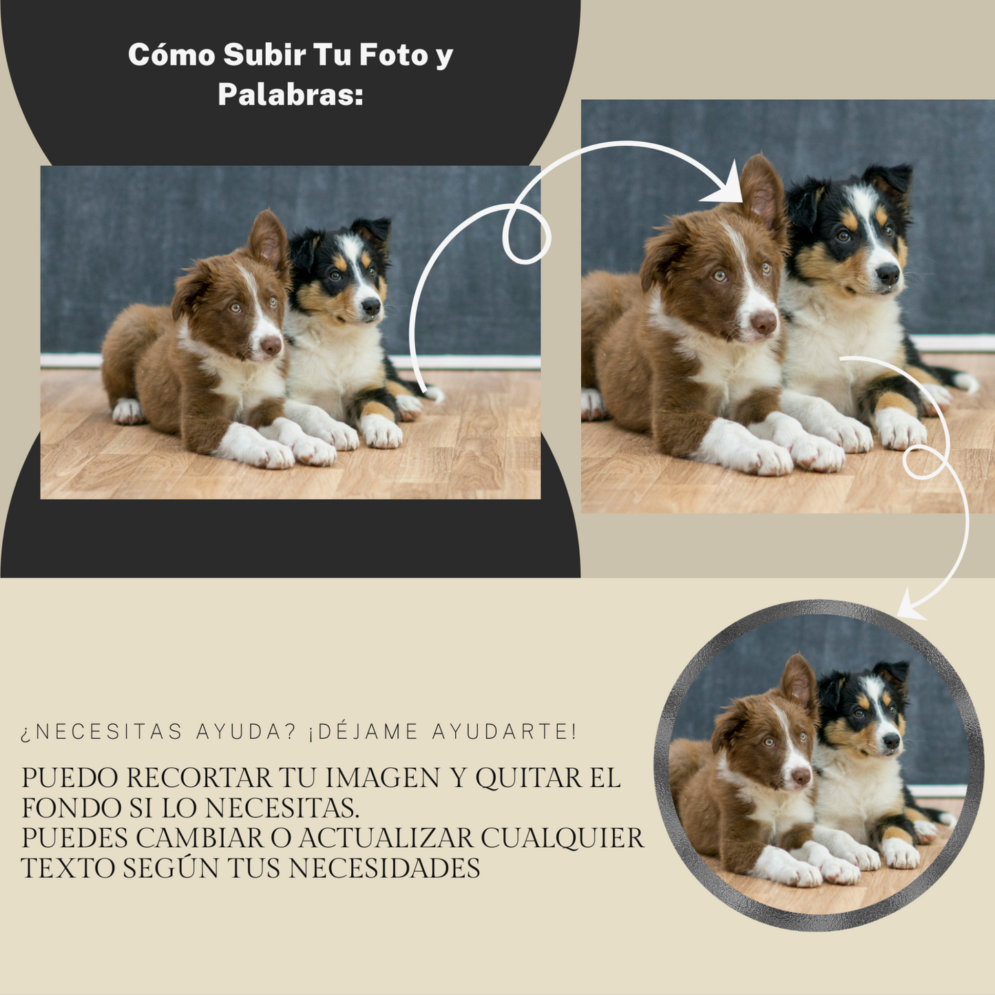 Ejemplo de cómo se recorta con cuidado la foto de la mascota para personalizar la lápida conmemorativa de ConcretePaws.