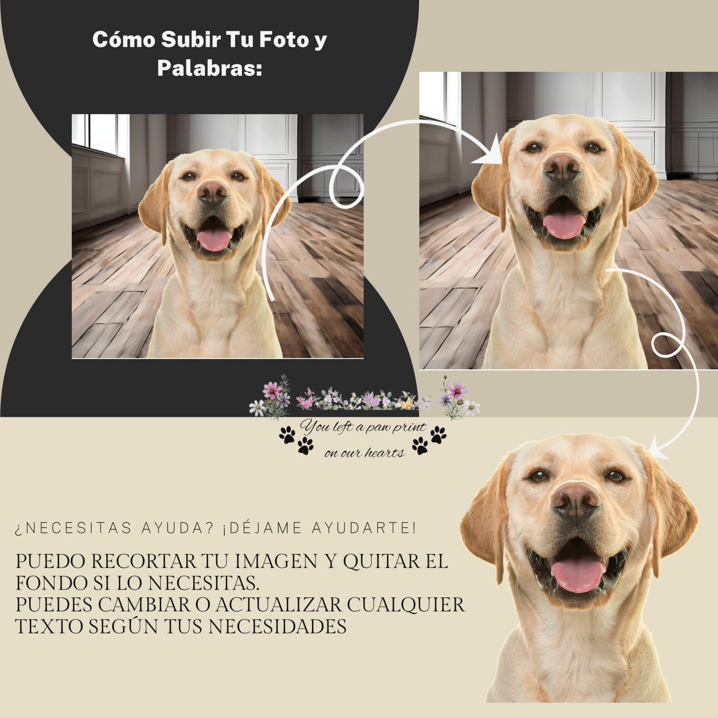 Ejemplo de cómo se recorta con cuidado la foto de la mascota para personalizar la lápida conmemorativa de ConcretePaws.