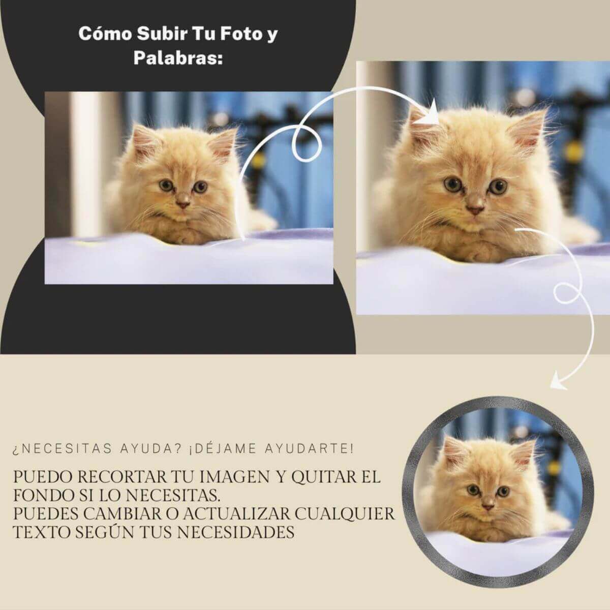 Ejemplo de cómo se recorta con cuidado la foto de la mascota para personalizar la lápida conmemorativa de ConcretePaws.