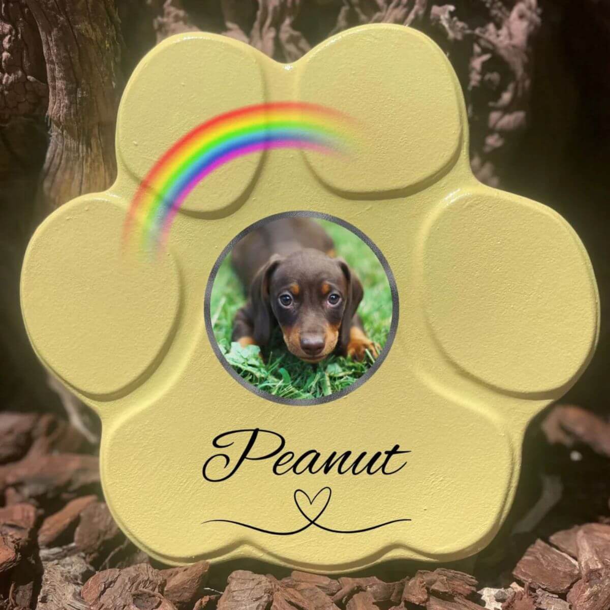 Placa conmemorativa personalizada para perro o gato en piedra amarilla grande sin soporte, foto y arcoíris