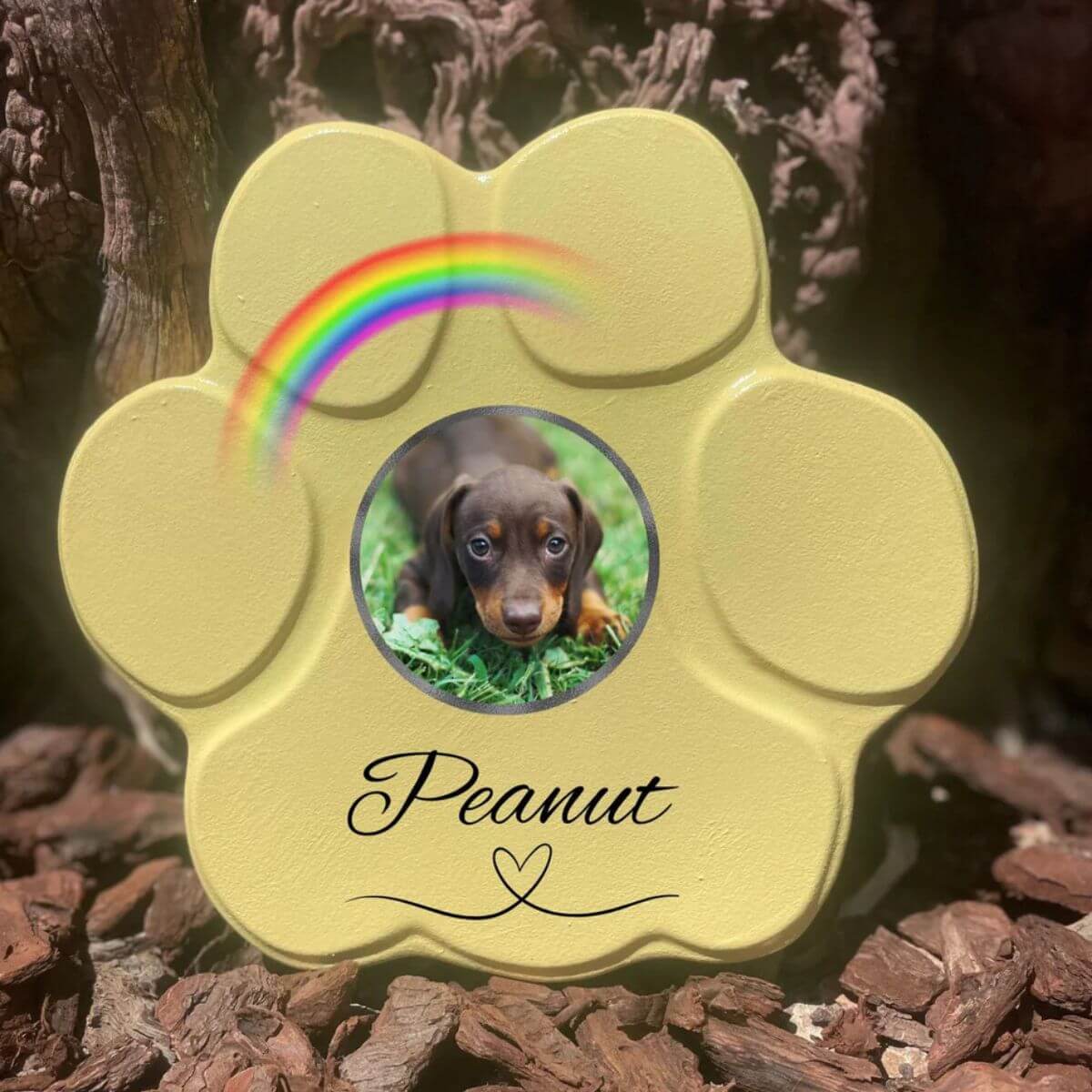 Placa conmemorativa personalizada para perro o gato en piedra amarilla mediana sin soporte, foto y arcoíris
