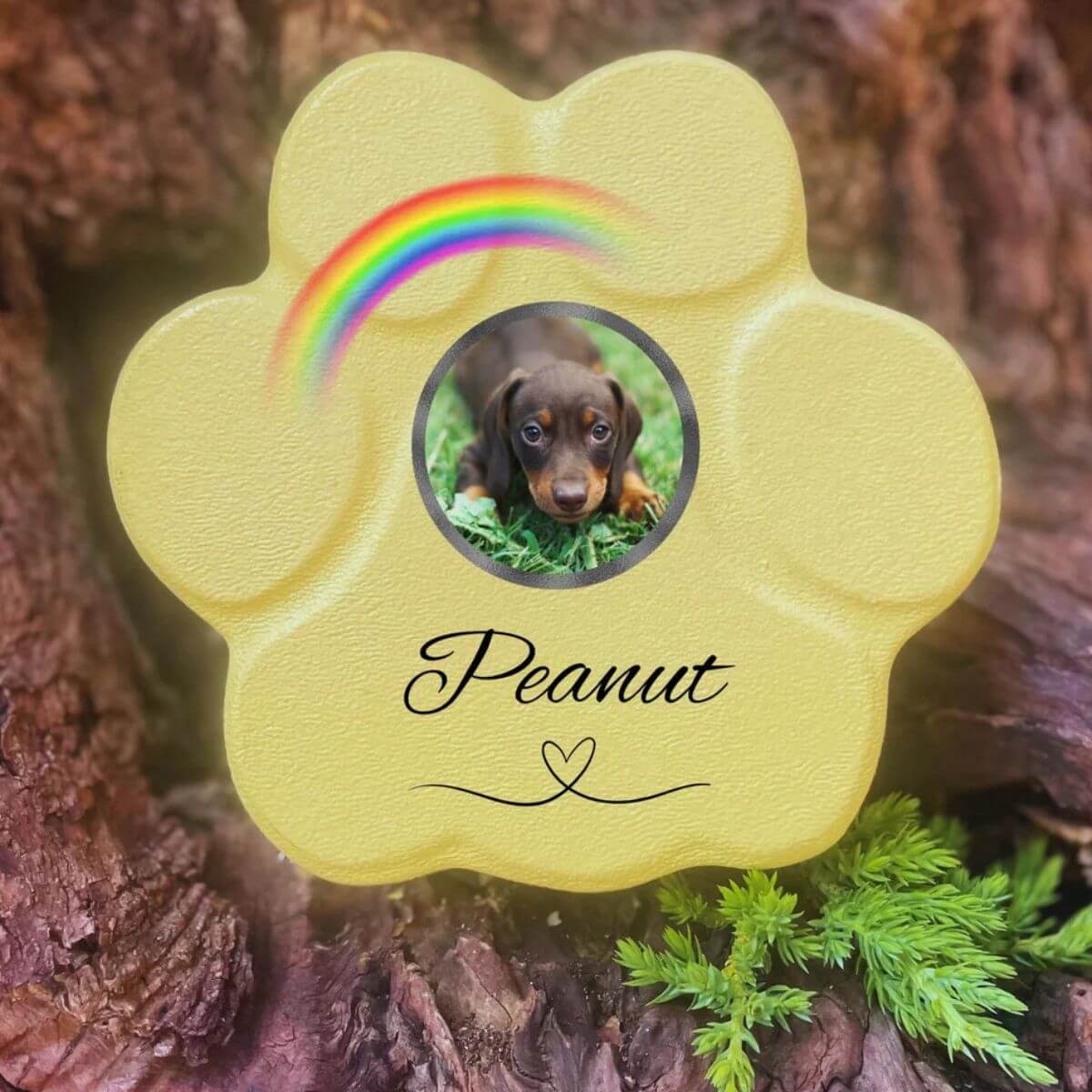 Placa conmemorativa  personalizada para perro o gato en piedra gris pequeña sin soporte, foto y arcoíris