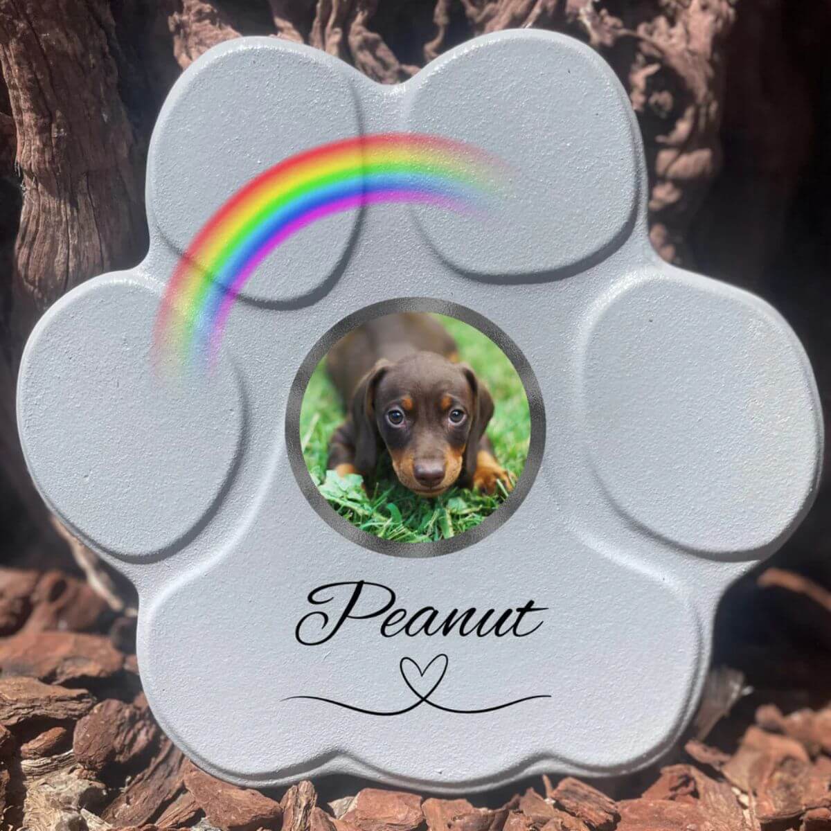 Placa conmemorativa personalizada para perro o gato en piedra gris grande sin soporte, foto y arcoíris
