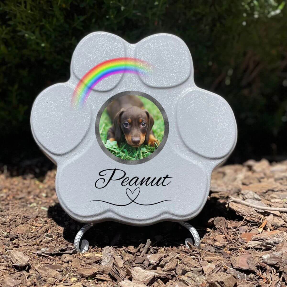 Placa conmemorativa personalizada para perro o gato en piedra gris mediana con soporte, foto y arcoíris
