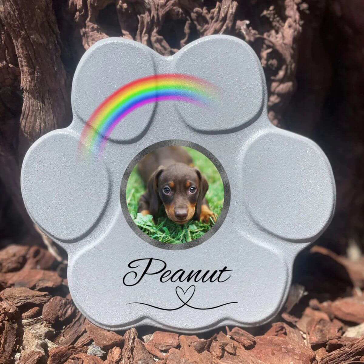 Placa conmemorativa personalizada para perro o gato en piedra gris mediana sin soporte, foto y arcoíris