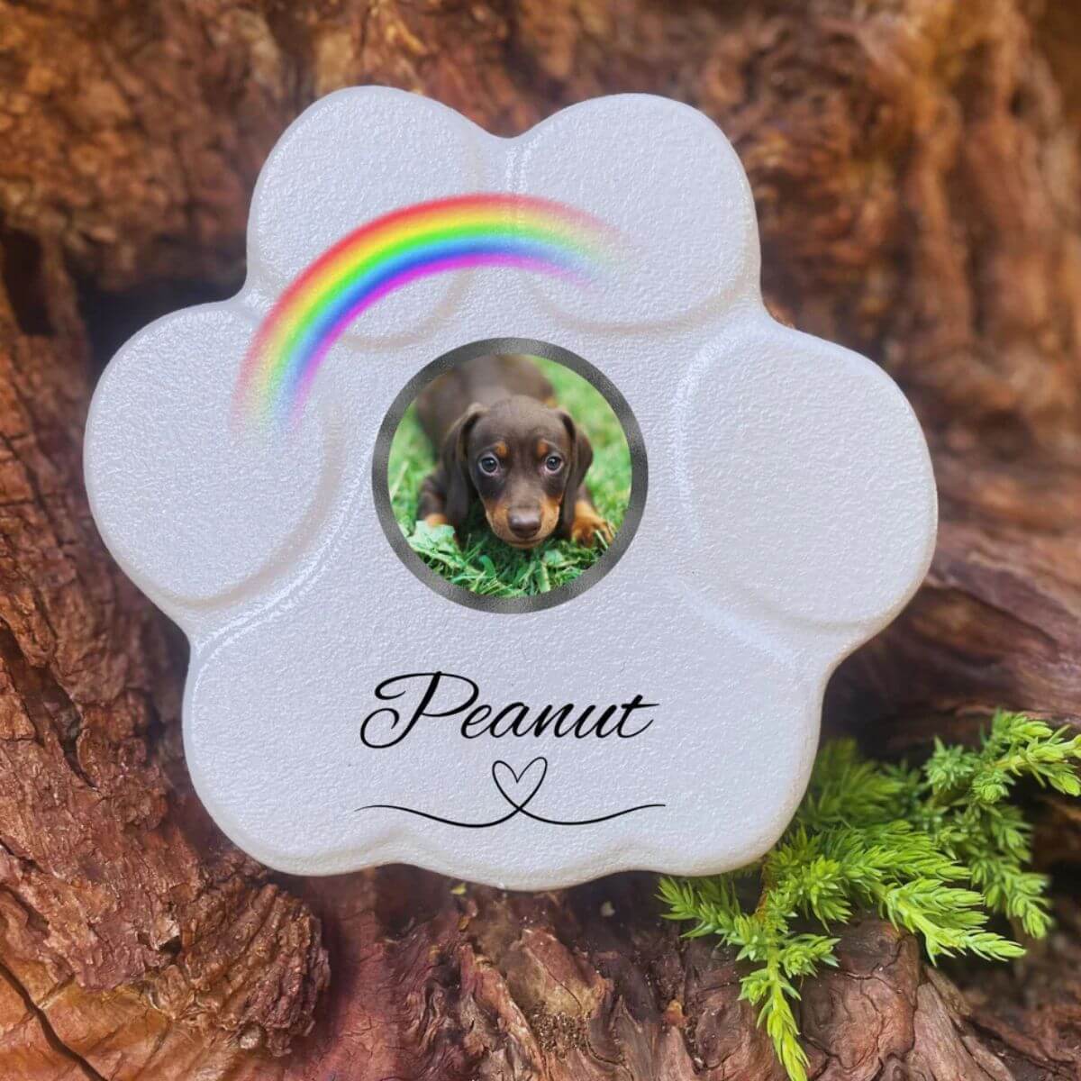 Placa conmemorativa  personalizada para perro o gato en piedra gris pequeña sin soporte, foto y arcoíris