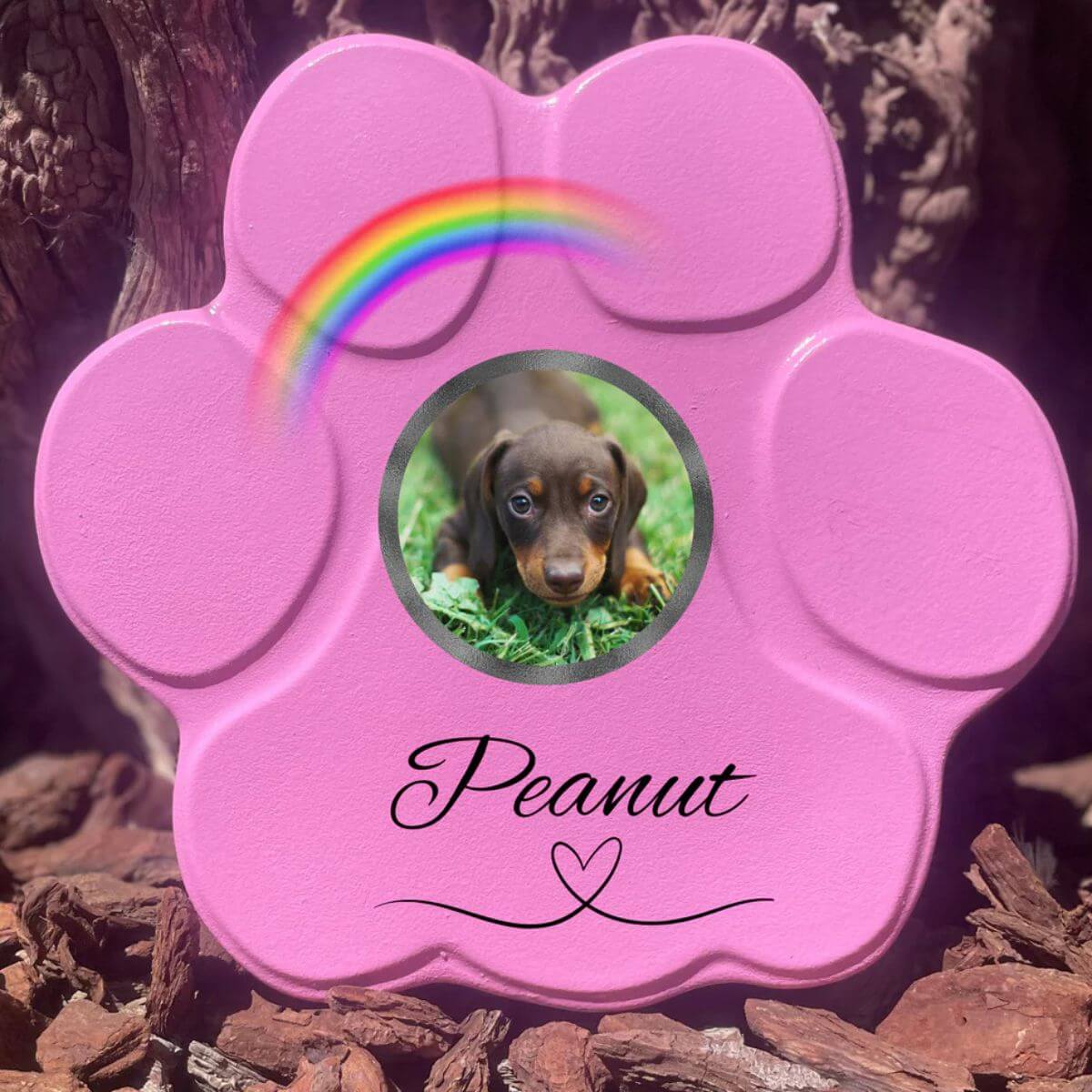 Placa conmemorativa personalizada para perro o gato en piedra rosa grande sin soporte, foto y arcoíris