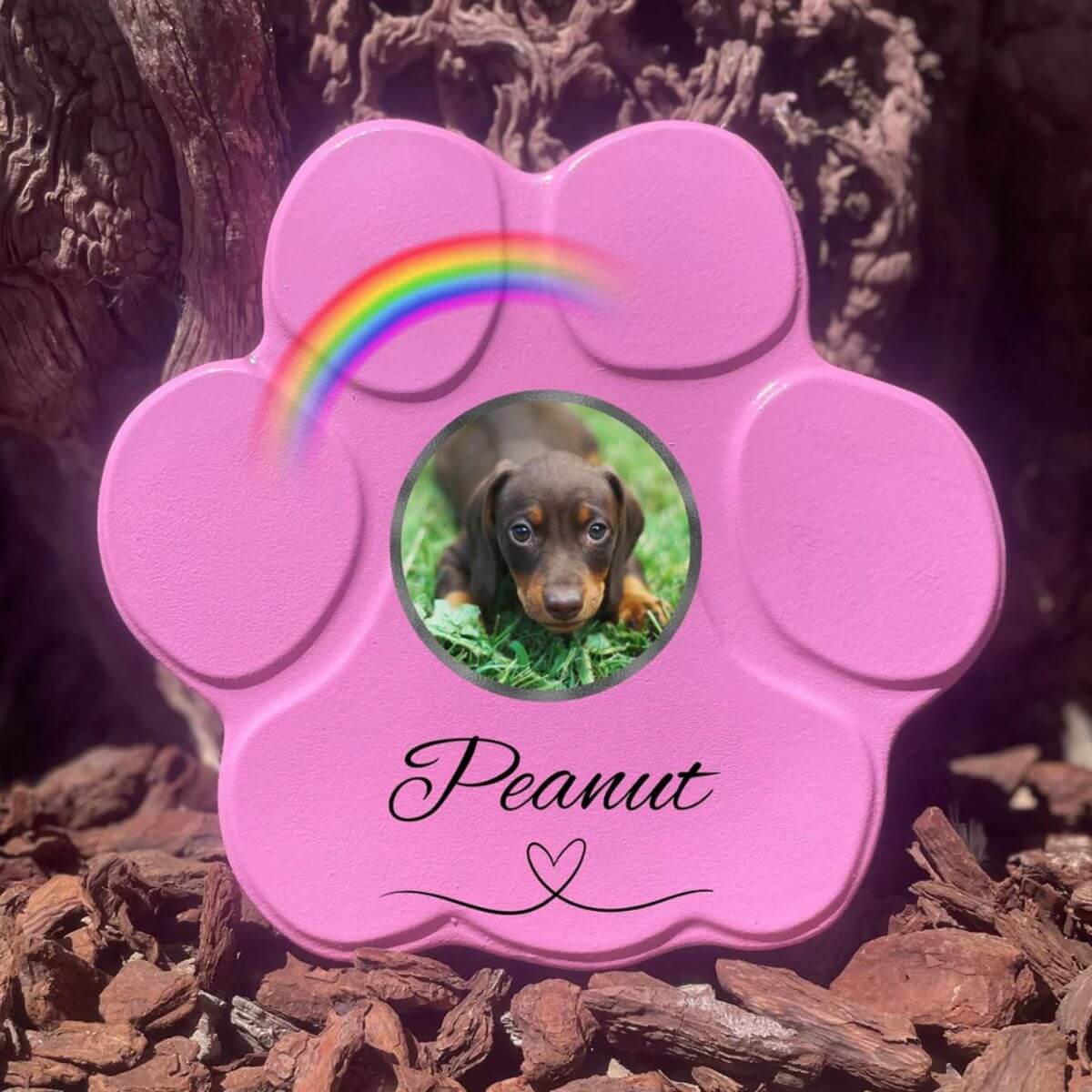 Placa conmemorativa personalizada para perro o gato en piedra rosa mediana sin soporte, foto y arcoíris