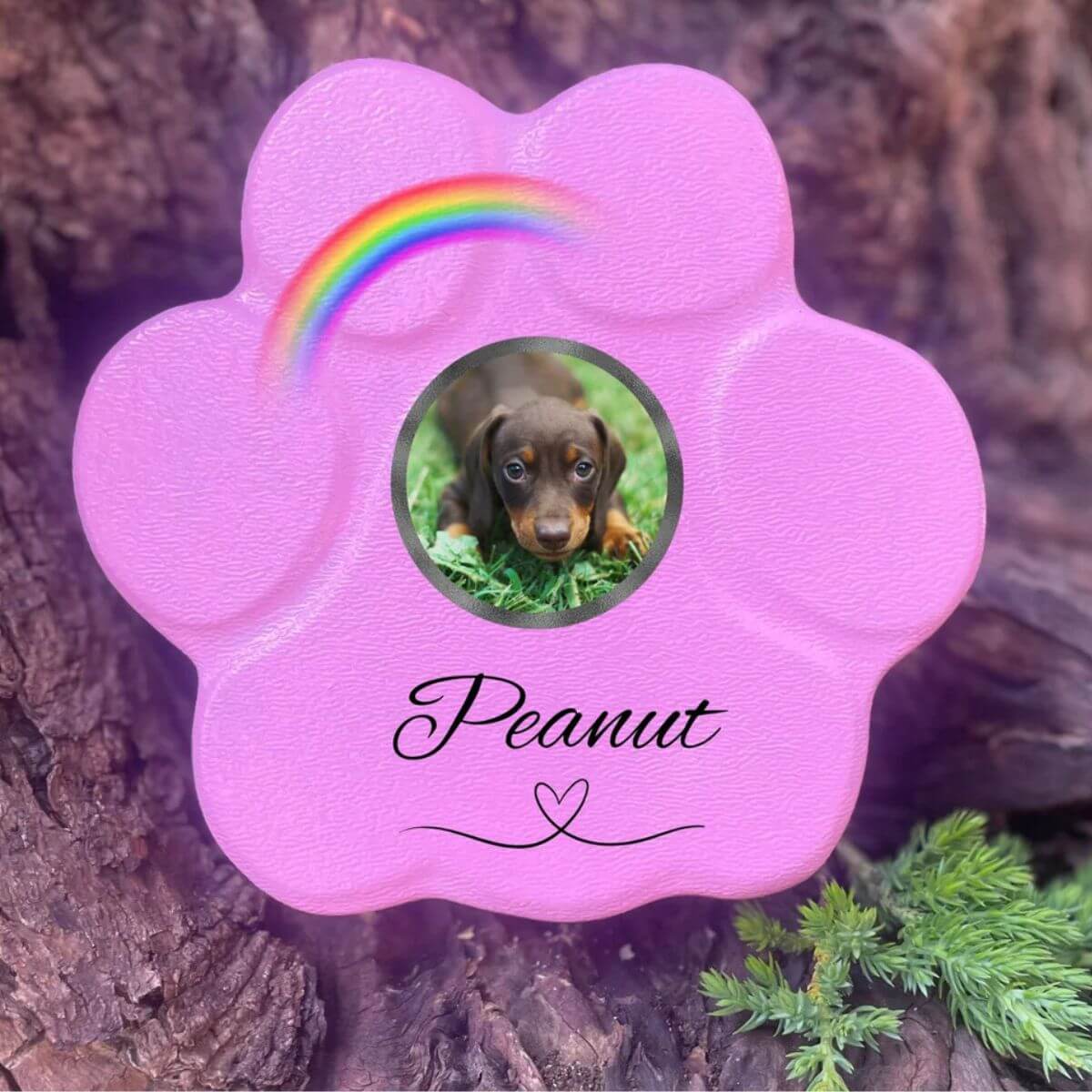 Placa conmemorativa  personalizada para perro o gato en piedra rosa pequeña sin soporte, foto y arcoíris