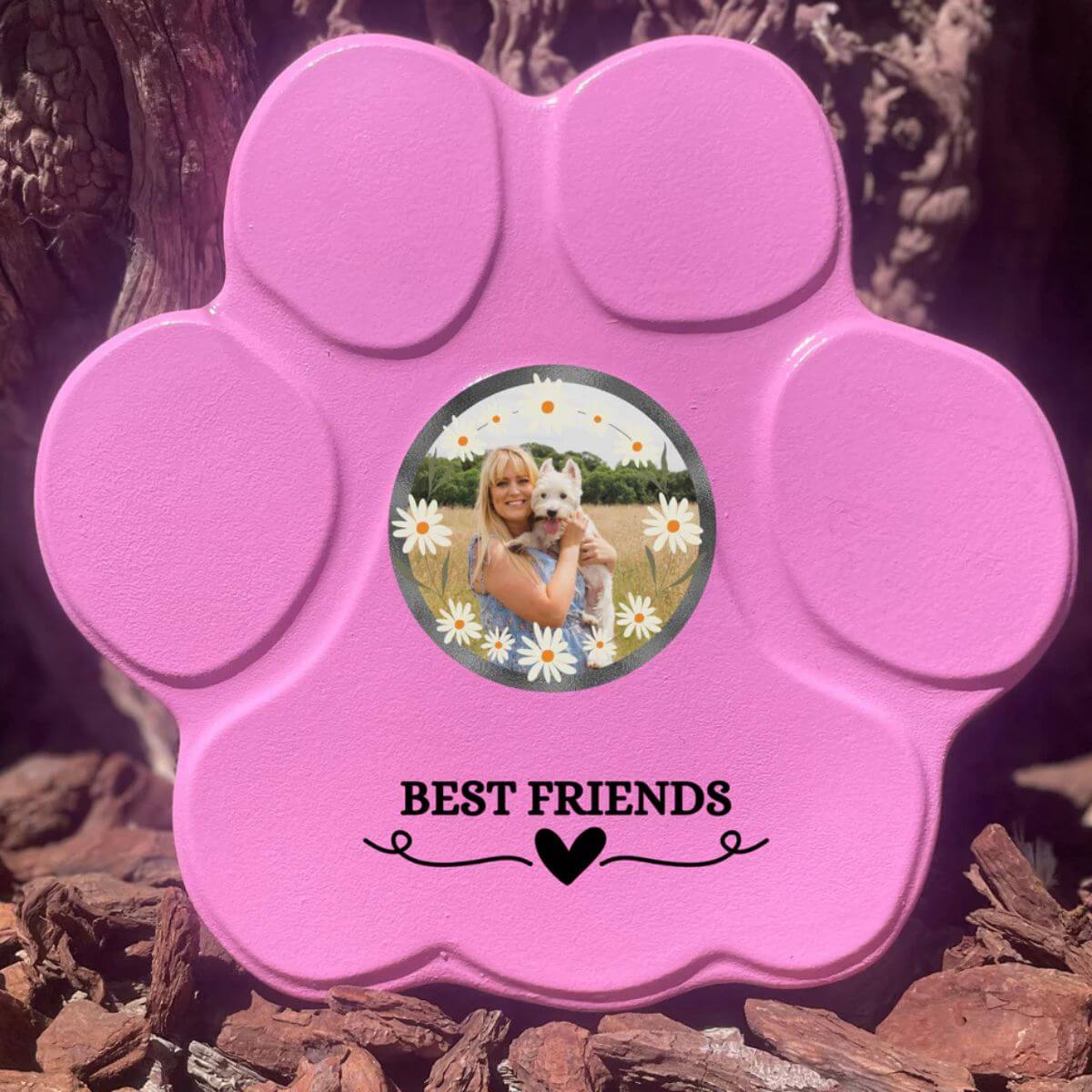 Regalo personalizado “Best Friends” con foto de mascota, color rosa, tamaño grande, sin soporte