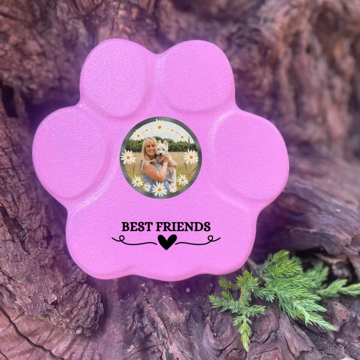 Regalo personalizado “Best Friends” con foto de mascota, color rosa, tamaño pequeño, sin soporte