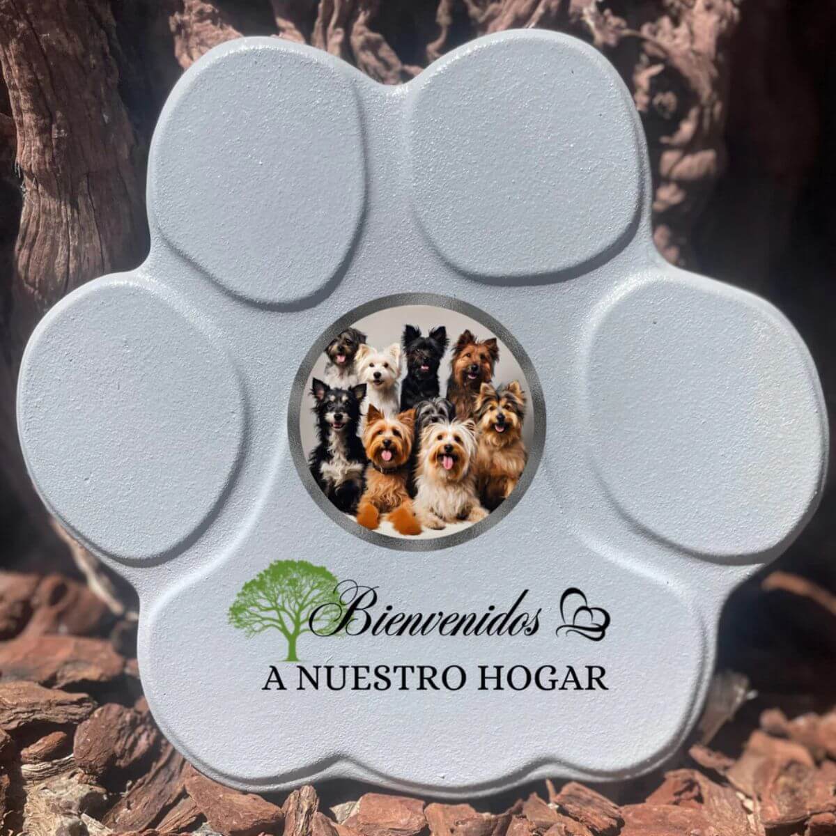 Placa gris grande con foto de mascota y texto “Bienvenidos a nuestro hogar” — decoración personalizada familiar.