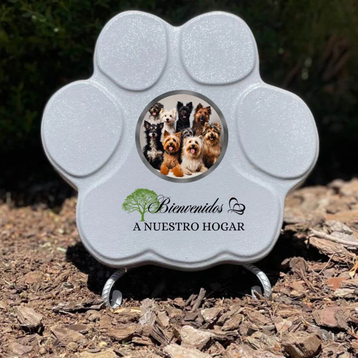 Placa decorativa gris para mascotas, tamaño mediano, con foto y frase “Bienvenidos a nuestro hogar”.