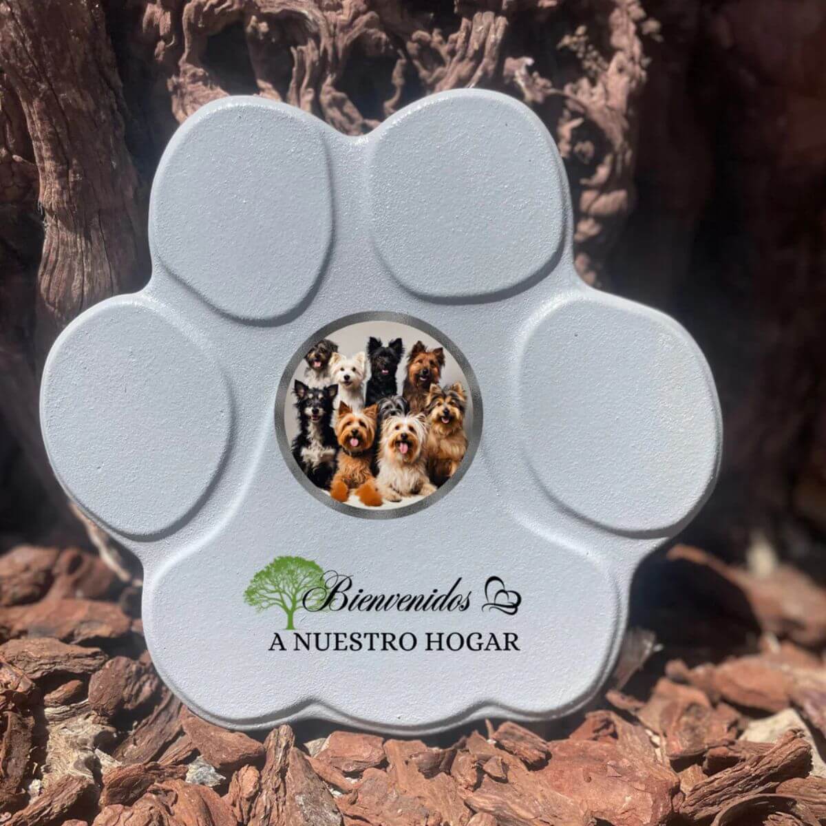 Placa mediana gris personalizada con foto y frase “Bienvenidos a nuestro hogar” — decoración única para mascotas.