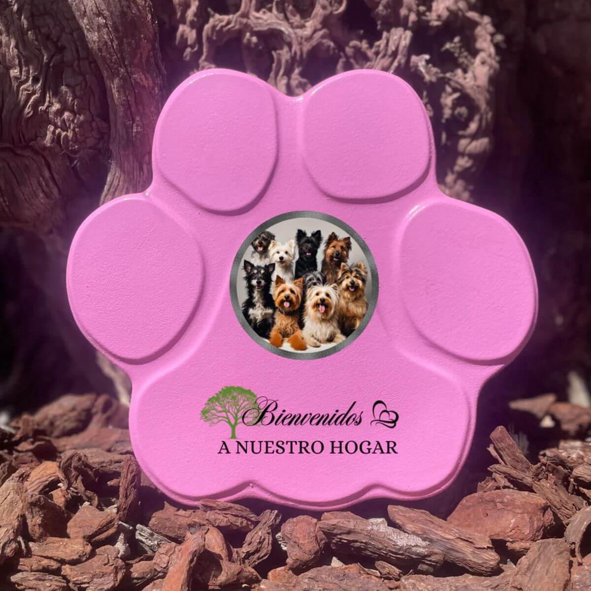Placa rosa personalizada con foto y mensaje para mascotas — frase “Bienvenidos a nuestro hogar”, tamaño mediano.