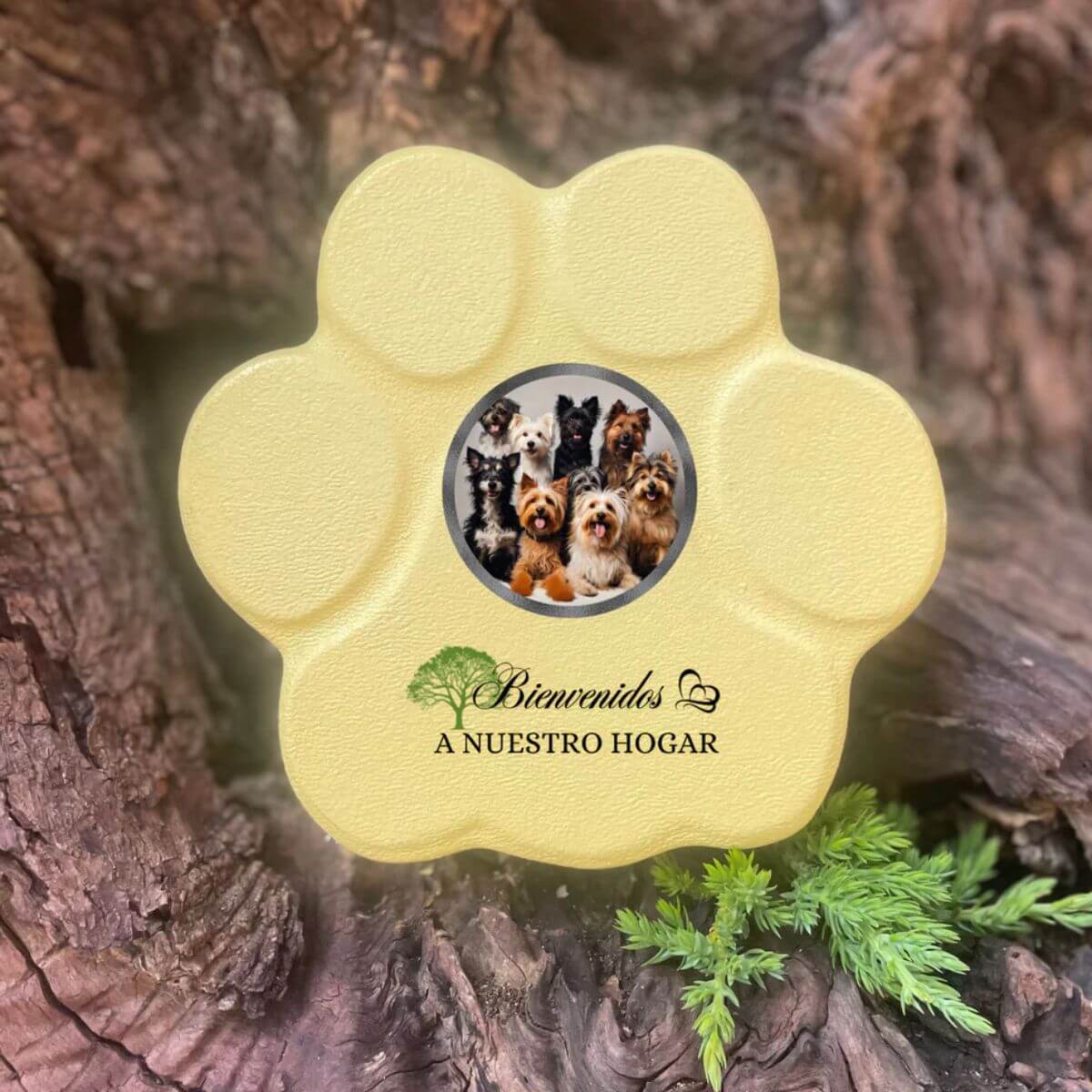 Decoración personalizada en piedra amarilla con foto de mascota – perfecta para entrada o rincón especial

