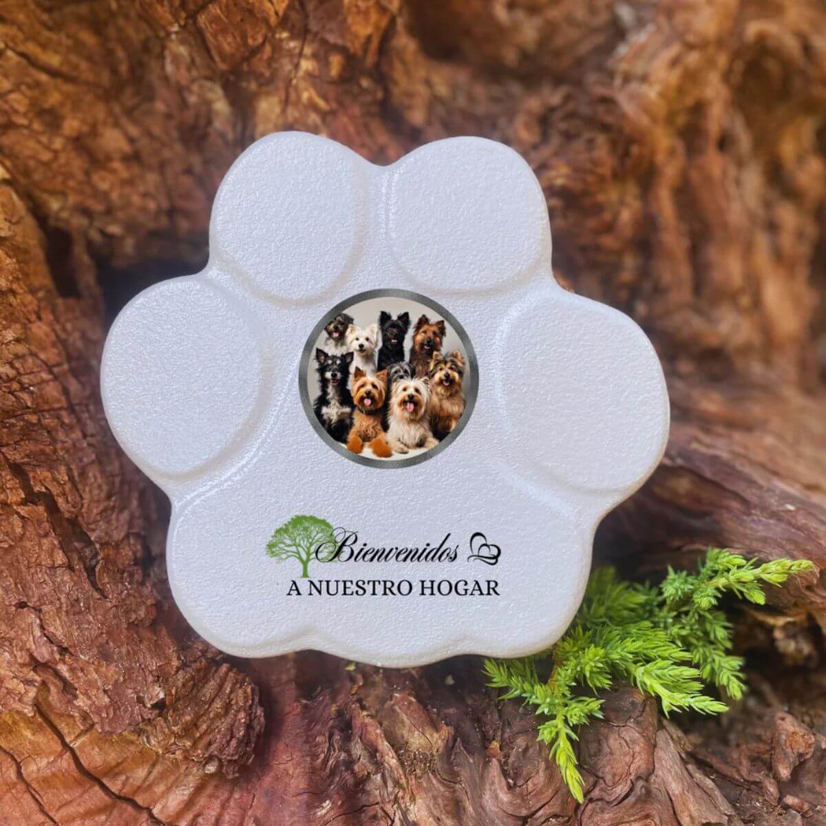 Placa gris para mascota con foto personalizada y mensaje acogedor – hecha a mano, ideal para interior o exterior