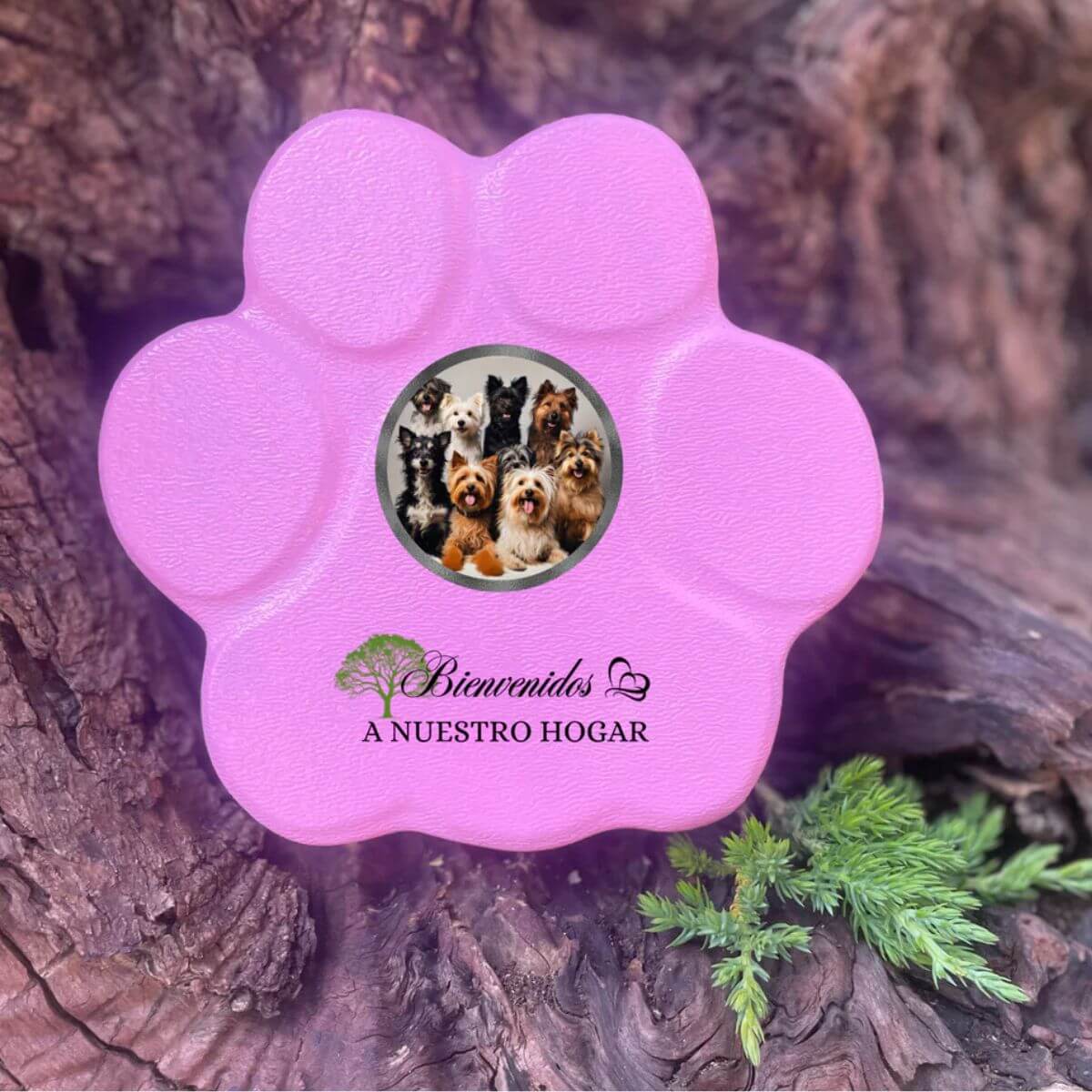 Regalo personalizado para mascotas – piedra rosa con imagen y frase “Bienvenidos a nuestro hogar”