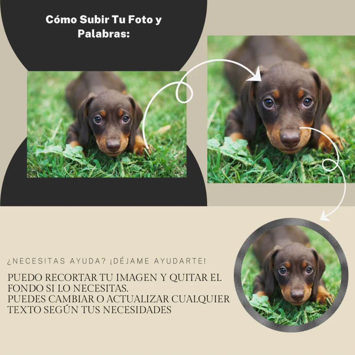 Ejemplo de cómo se recorta con cuidado la foto de la mascota para personalizar la lápida conmemorativa de lapida