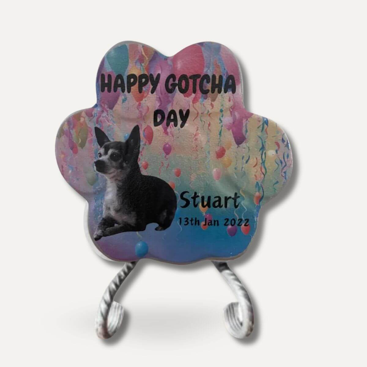 Placa personalizada para perro con foto, nombre y diseño Happy Gotcha Day sobre soporte de exposición