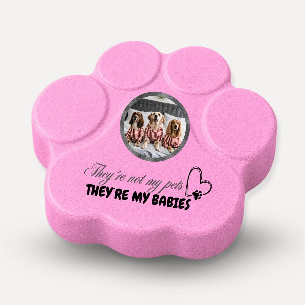 Placa con Foto para Mascotas en Inglés | Regalo Original para Perros y Gatos