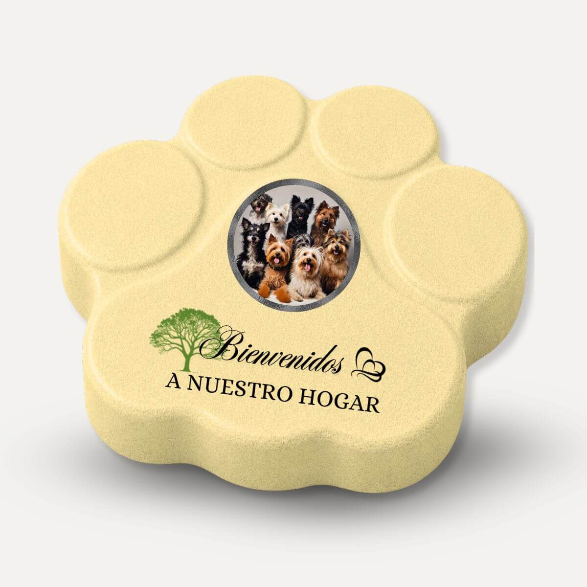 Placa personalizada "Bienvenidos a Nuestro Hogar" con foto y nombre para perros y gatos en hormigón color amarilla.