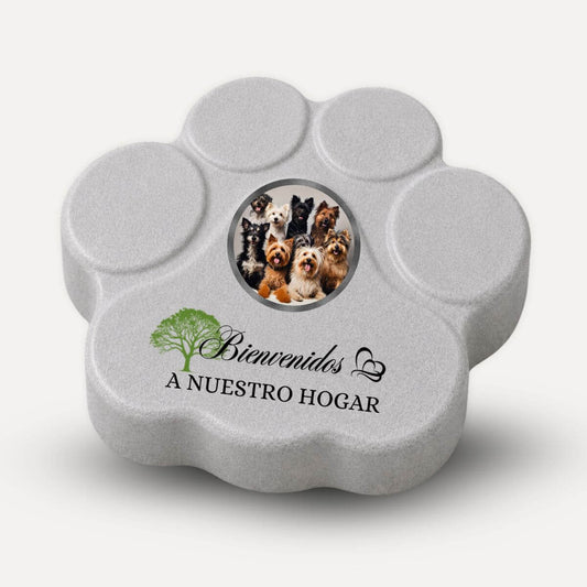 Placa personalizada "Bienvenidos a Nuestro Hogar" con foto y nombre para perros y gatos en hormigón color gris.