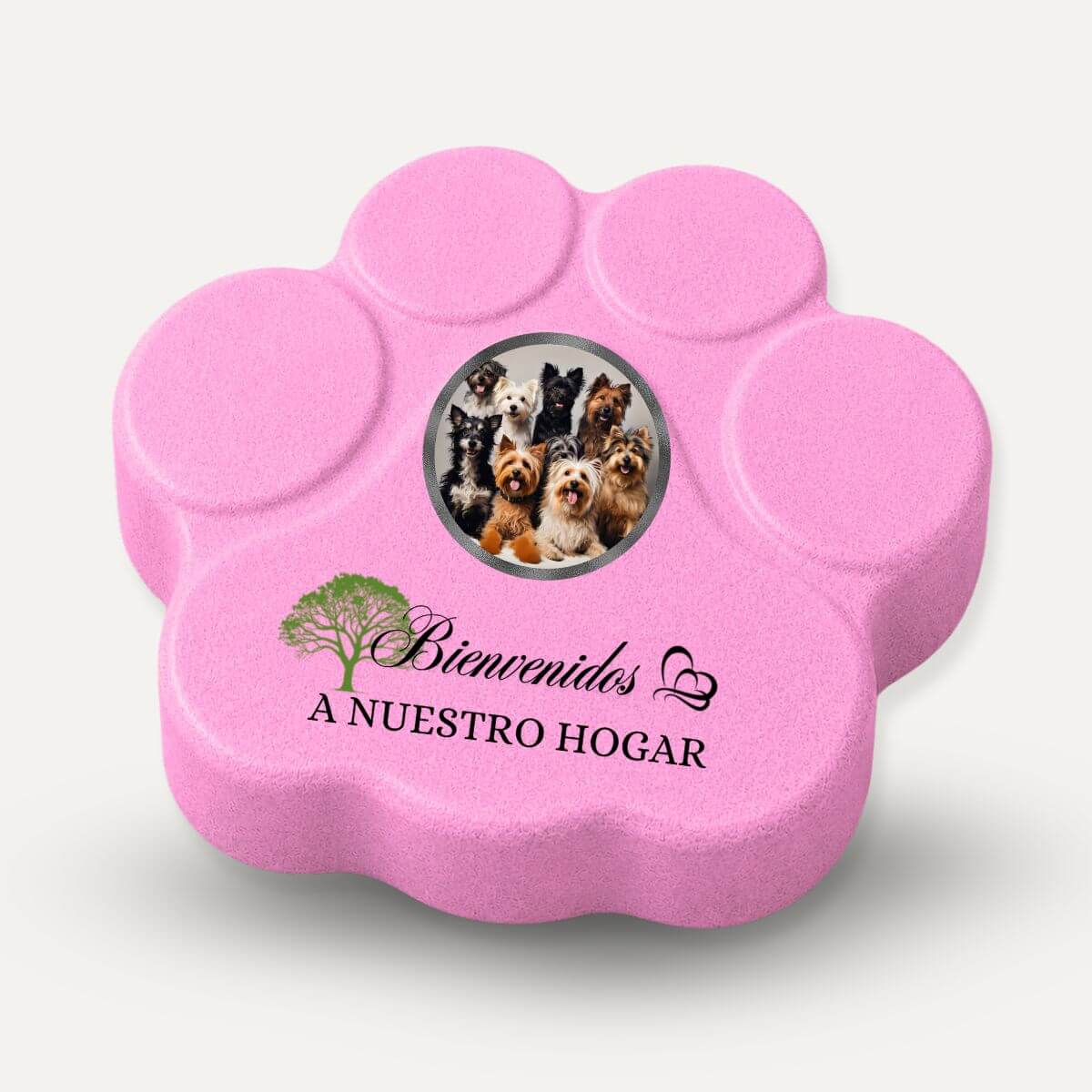 Placa personalizada "Bienvenidos a Nuestro Hogar" con foto y nombre para perros y gatos en hormigón color rosa.