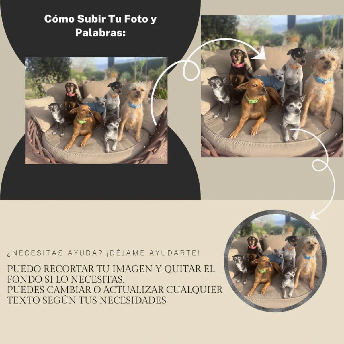 "Imagen con instrucciones paso a paso sobre cómo subir la foto de tu mascota para personalizar la huella de piedra."

