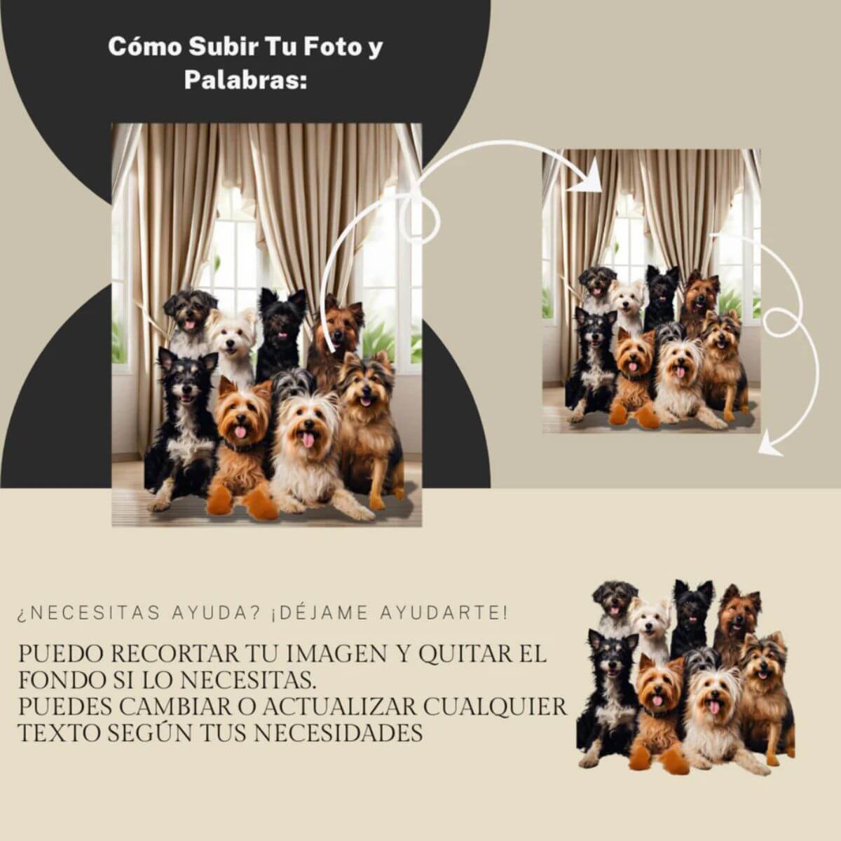 "Imagen con instrucciones paso a paso sobre cómo subir la foto de tu mascota para personalizar la huella de piedra."