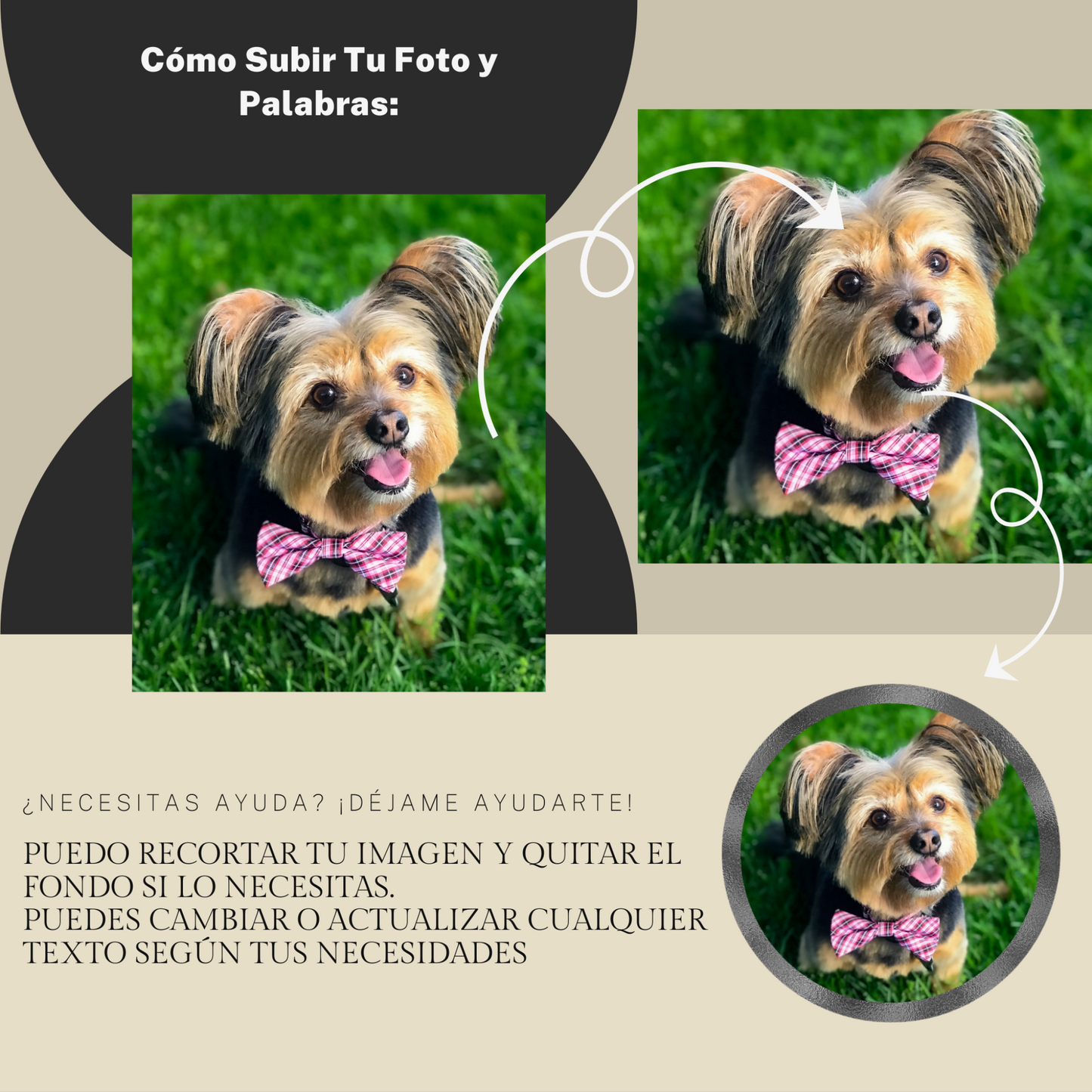 Imagen con instrucciones paso a paso sobre cómo subir la foto de tu mascota para personalizar la huella de piedra.