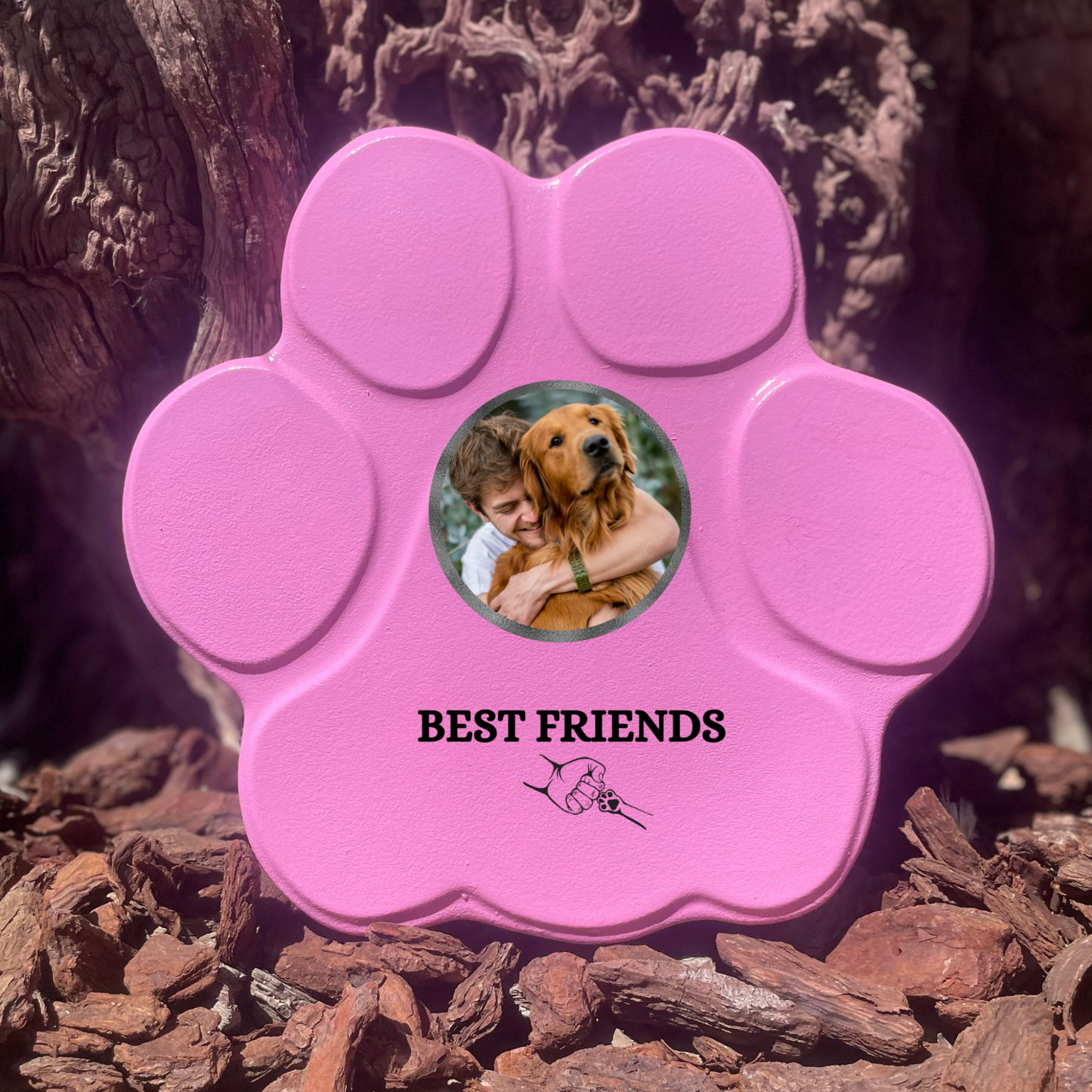 Regalo personalizado para mascotas, color rosa, tamaño mediano, sin soporte, diseño Best Friends