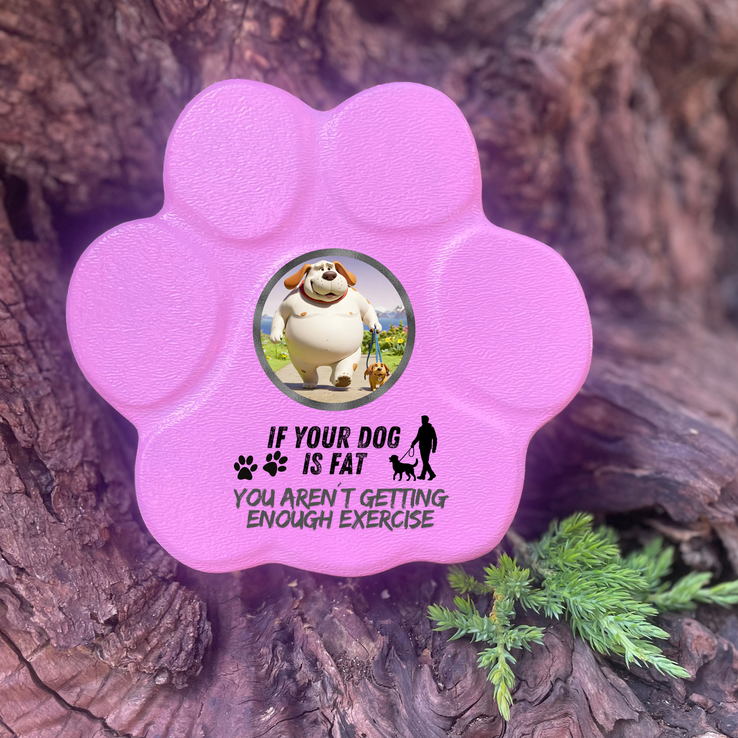Placa divertida con frase en inglés, huella pequeña, color rosa, sin soporte