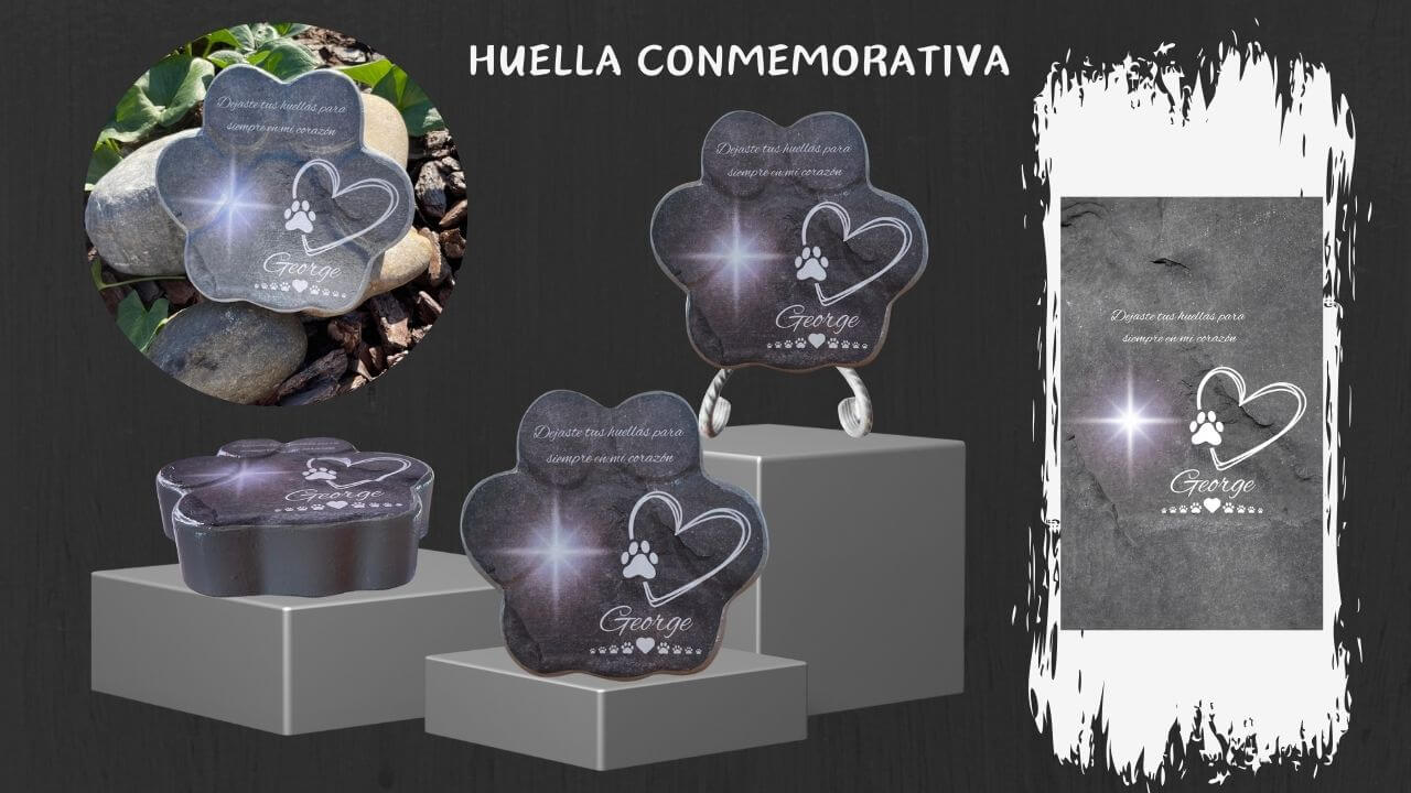 Video mostrando la placa conmemorativa personalizada para mascotas de ConcretePaws – huella de piedra con nombre y estrella, ideal para interior o jardín, tamaño real y grosor