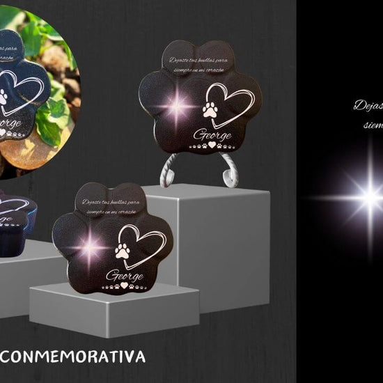 Video mostrando la placa conmemorativa personalizada para mascotas de ConcretePaws – huella de piedra con nombre y estrella, ideal para interior o jardín, tamaño real y grosor