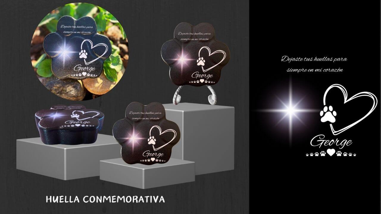Video mostrando la placa conmemorativa personalizada para mascotas de ConcretePaws – huella de piedra con nombre y estrella, ideal para interior o jardín, tamaño real y grosor