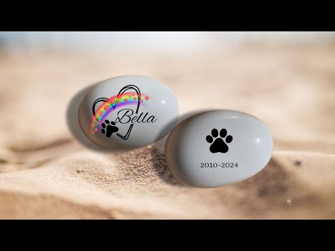 Vídeo del guijarro de cristal personalizado con huellas rosas, nombre y fechas. Muestra tamaño real y diseño frontal/trasero. Recuerdo conmovedor para mascotas.