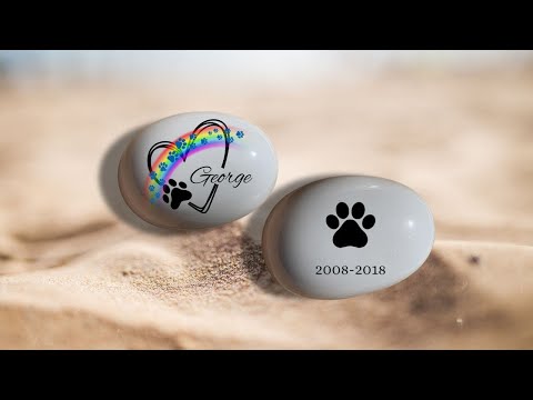 Vídeo del guijarro de cristal personalizado con huellas azules, mostrando tamaño real en mano y diseño completo (frontal y trasero). Regalo conmemorativo único para perros o gatos, ideal para amantes de mascotas que buscan recuerdos personalizados.